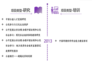 骚大奶逼骚叫网站非评估类项目发展历程